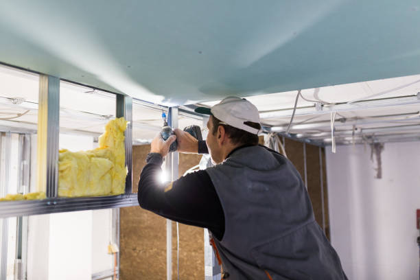 Best Insulation Maintenance and Repair in Mount Olive, MS